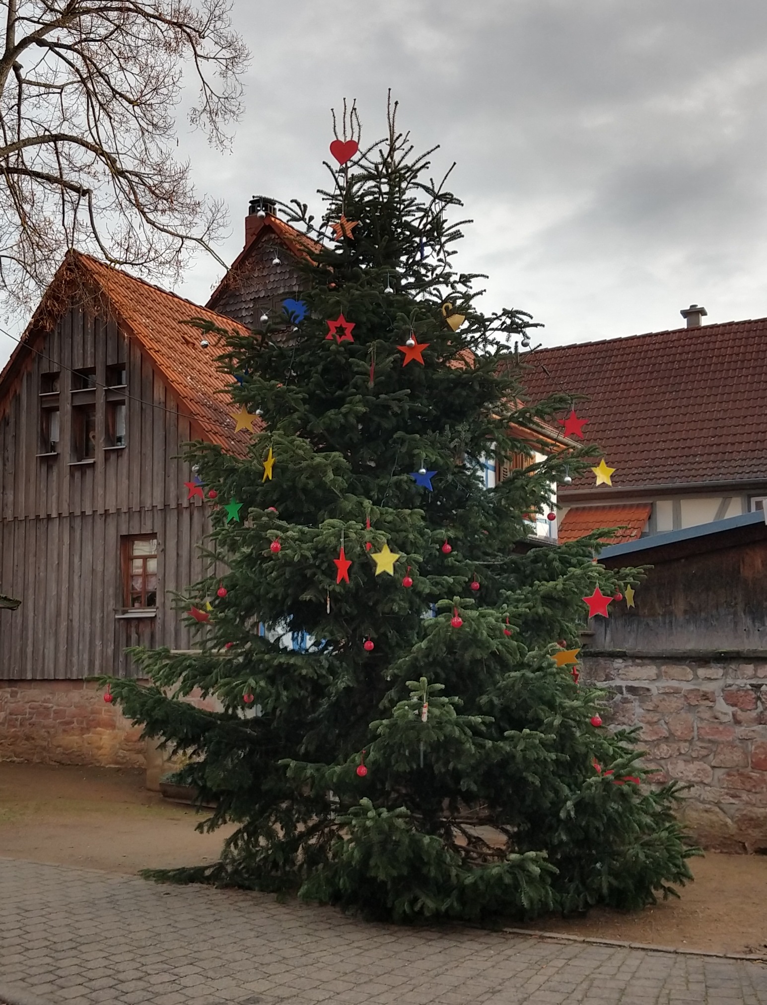 Weihnachtsbaum
