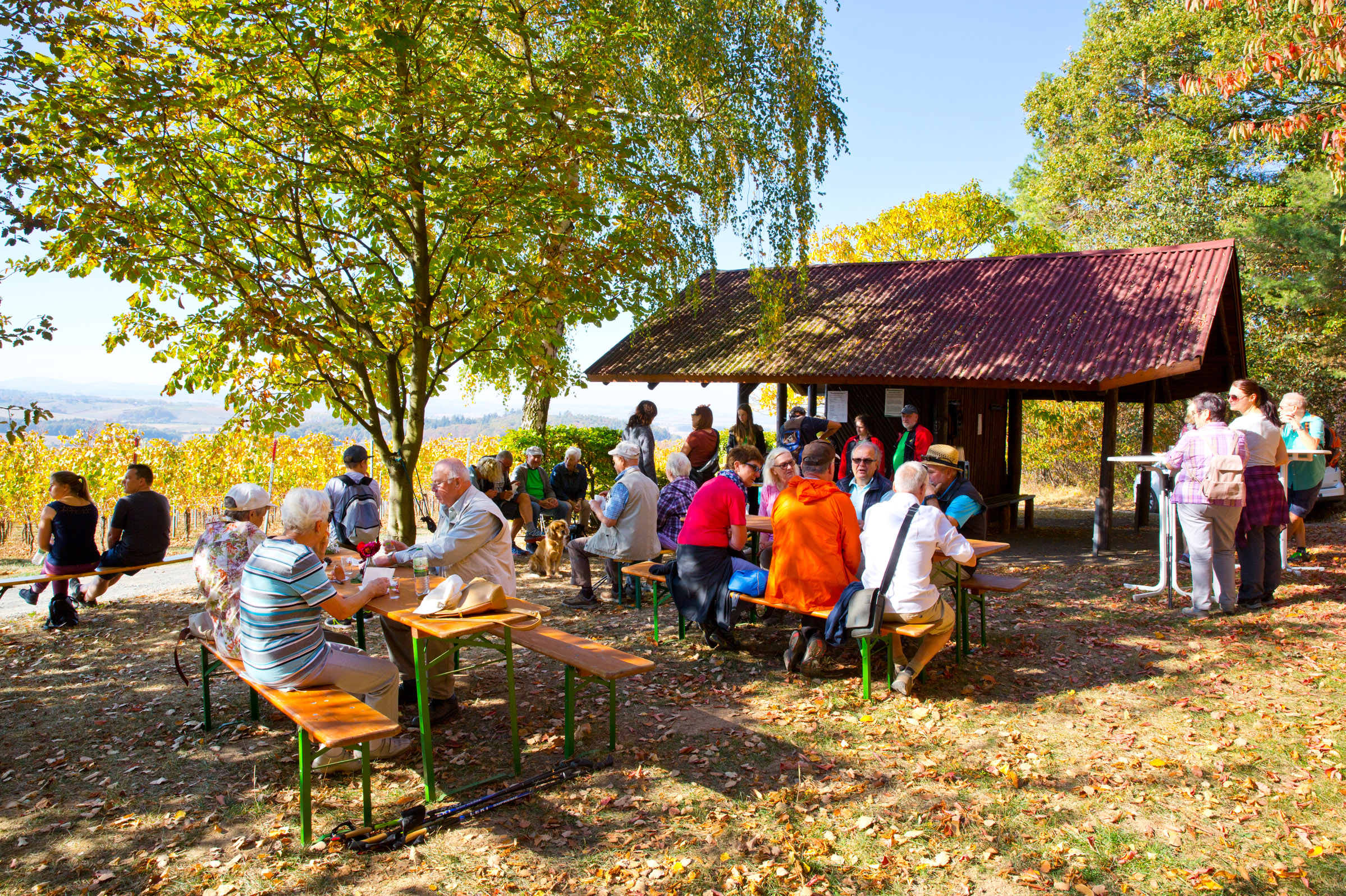 An der Kissinger Wünzerhütte machen viele Weinlagenwanderer eine längere Rast und genießen das Sommerwetter mitten im Oktober. (Foto: Ulrike Bernauer) An der Kissinger Wünzerhütte machen viele Weinlagenwanderer eine längere Rast und genießen das Sommerwetter mitten im Oktober. (Foto: Ulrike Bernauer)